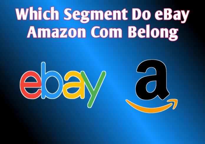 Which Segment Do Ebay Amazon Com Belong